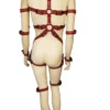 Full harness red uni belts HouseofBasciano back