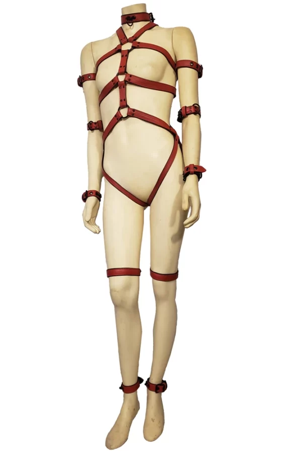 Full harness red uni belts HouseofBasciano front