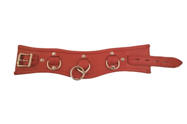 Leather posture collar red silver houseofbasciano flat