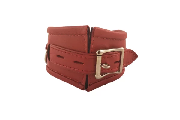 Leather posture collar red silver houseofbasciano black