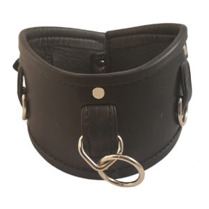 Locking Black leather posture collar