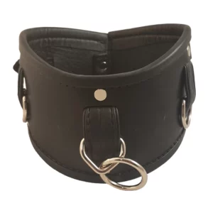 Leather posture collar black silver houseofbasciano front