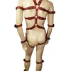 Full Male Body Harness with Matching Belts - Image 3