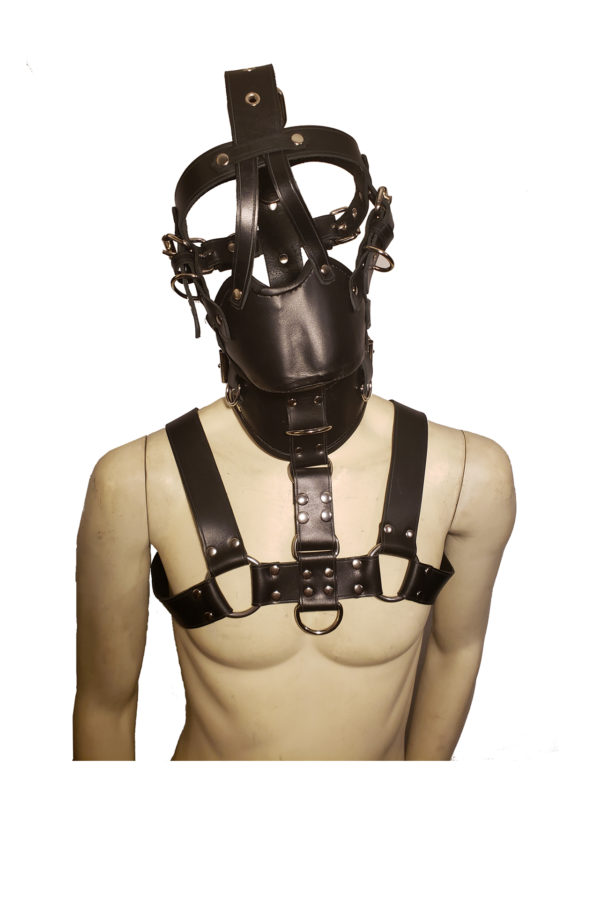 HouseofBasciano Latigo muzze posture collar chest harness front black