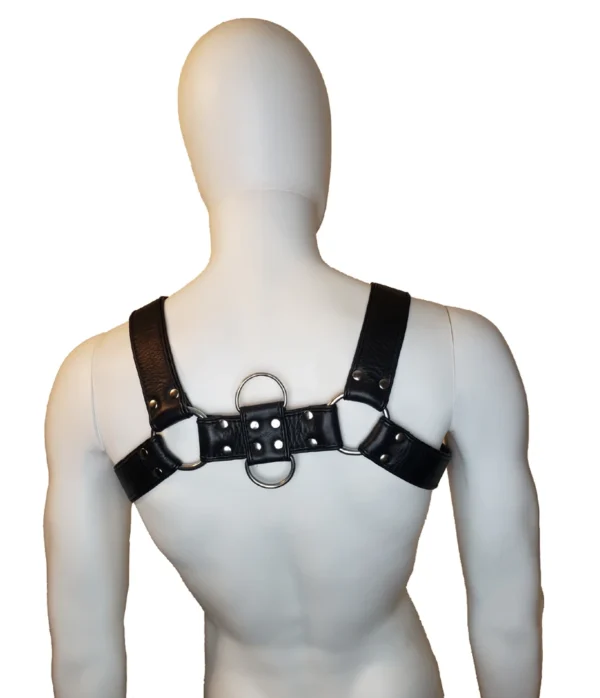 Houseofbasciano bulldog harness black black back