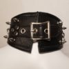 Spiked Posture Collar  14" - 16" - Image 3