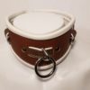 Locking Posture Collar 13"-15"