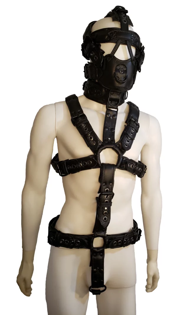 M5 Muzzle Padded Leather Body Harness Locking Posts Black front
