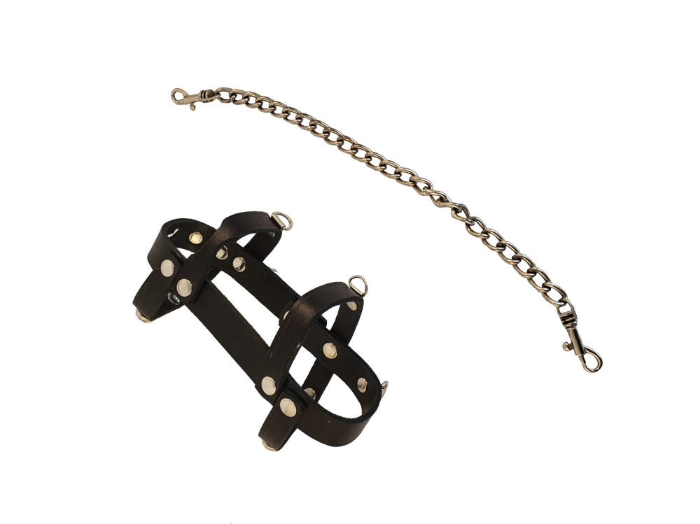 houseofbasciano powerbox harness