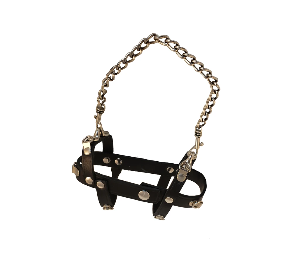 houseofbasciano powerbox harness